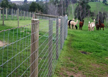 Wire Fencing